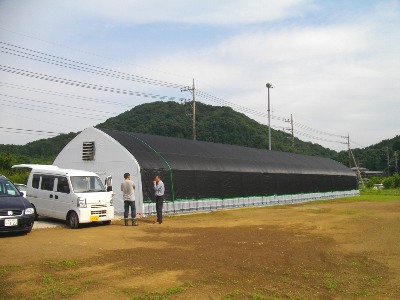 ���������ۏ��͔|�n�E�X�T�ςQ