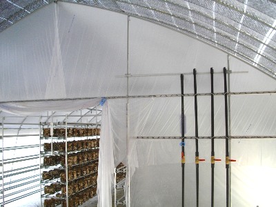 ���������ۏ��͔|�U��