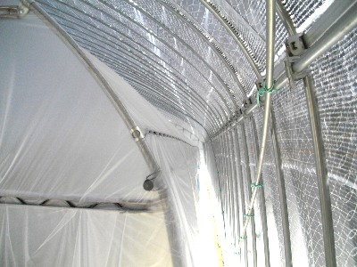 ���������ۏ��͔|�n�E�X�Q�d�\��