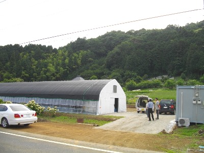 ���������͔|�_�Ə�������