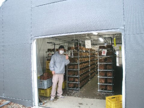 ���������͔|�p�̃r�j�[���n�E�X�̑O��