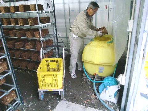 �ۏ���Z����������