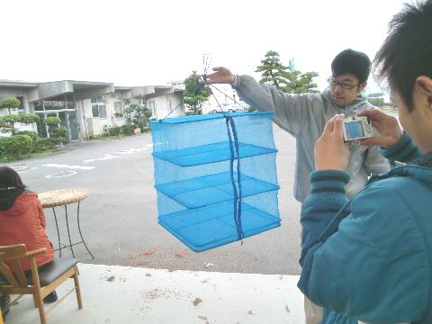 �����ő��p�̃l�b�g