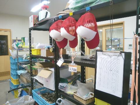 �������p�̖X�q��