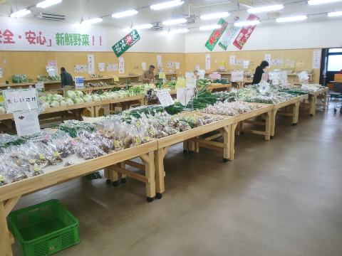 �������̓���