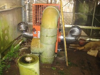 ���������͔|�p�̒g�[