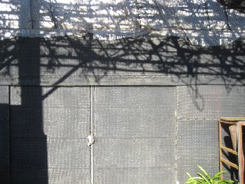 �n�E�X���ʂ̏o�����