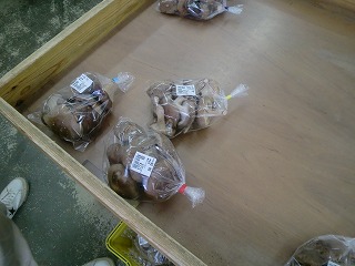 �������ő�����锄���I