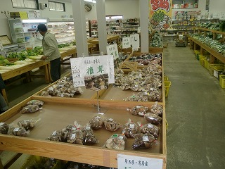 ���������͔|�������̗l�q