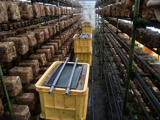 ���������͔|�Z���P