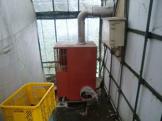 ���������͔|�n�E�X���̒g�[��