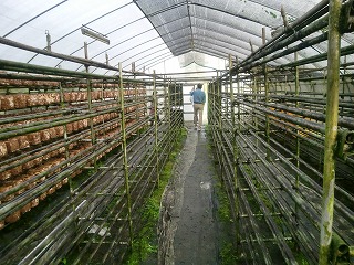 ���������͔|�󂫂̒I