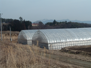 �ő��i���������j�����r�j�[���n�E�X�O��