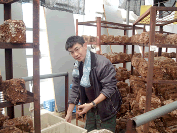 �ő��i���������j���n