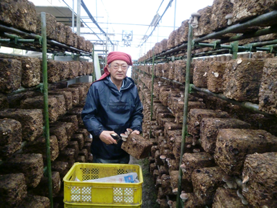 �ۏ����炵�����������n