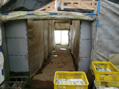 ���������͔|�n�E�X�̒��A�Ԃ̕���