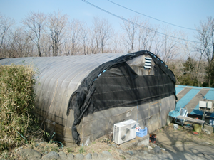 �������������p�n�E�X�O��