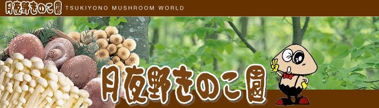 �ő��͔|Top�y�[�W�ֈړ�